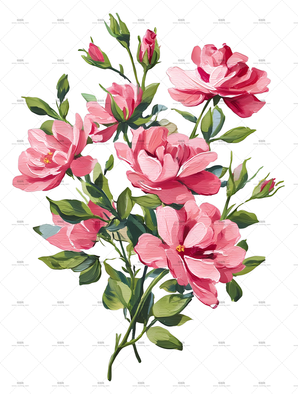 粉色花束 – 精美的粉色花朵插画PNG免抠图预览图