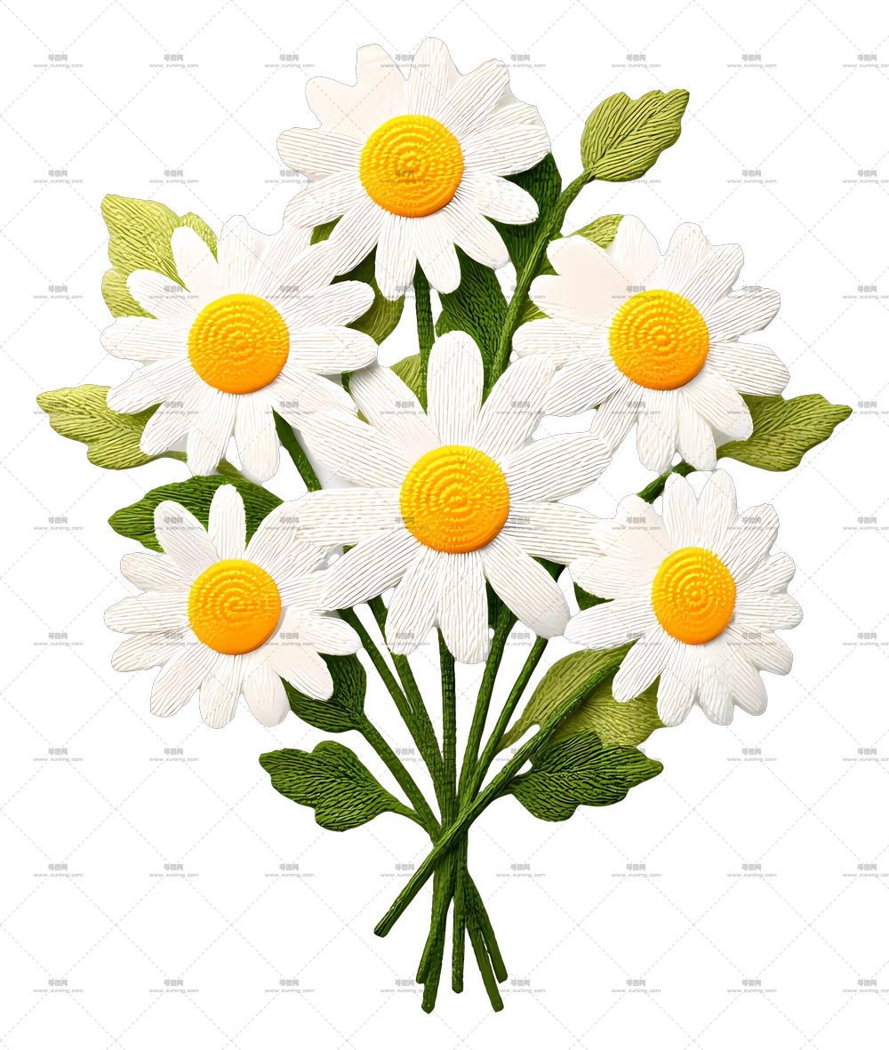 雏菊花束 – 雏菊花束PNG免抠图预览图