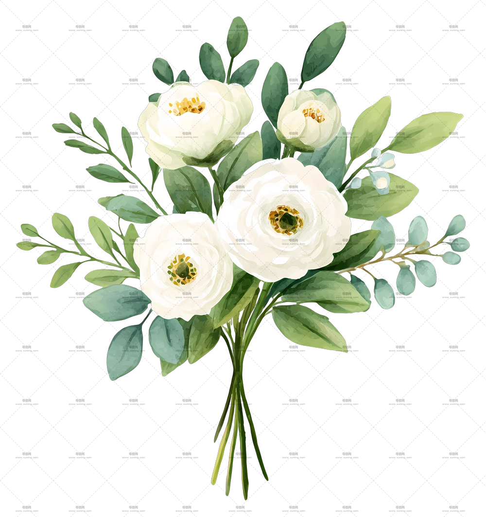 白色花束 – 白色花朵花束插图PNG免抠图预览图