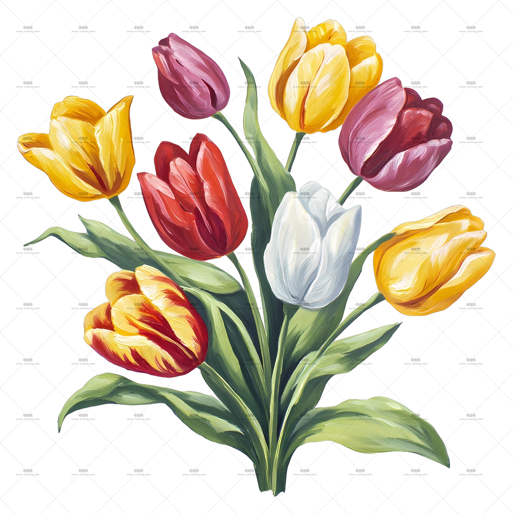 郁金香花束 – 美丽多彩的郁金香花束PNG免抠图预览图