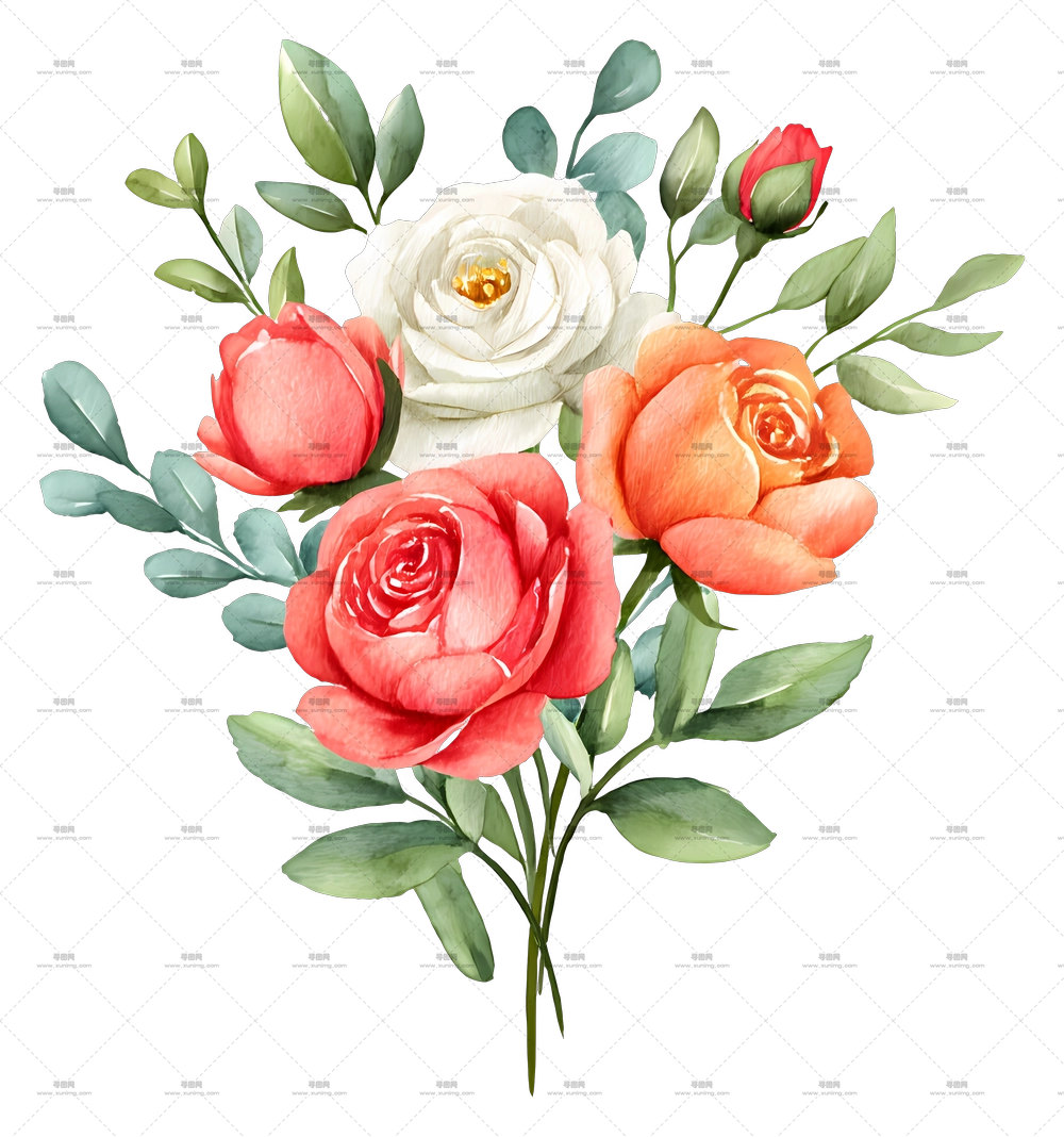 水彩花束 – 粉色和黄色的美丽玫瑰PNG免抠图预览图