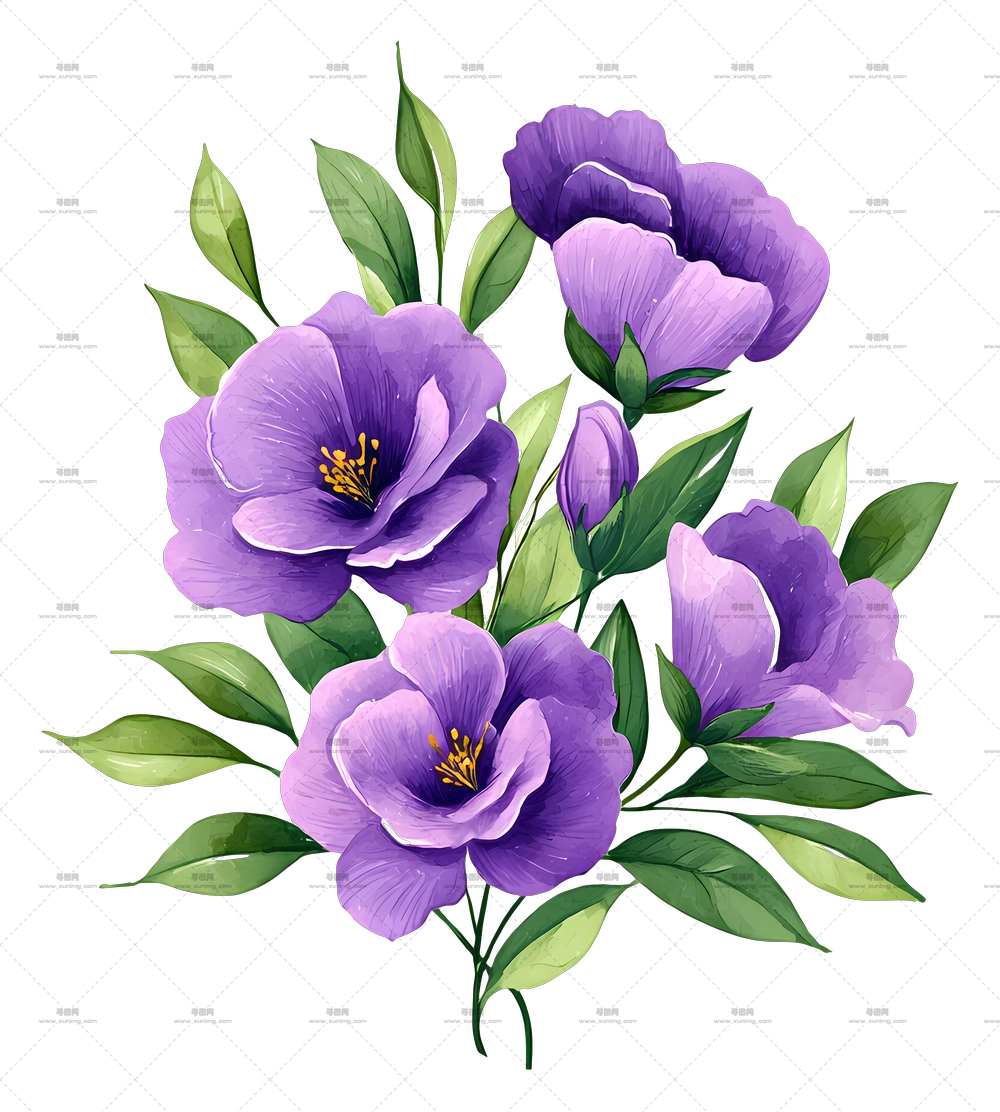 紫罗兰花束 – 美丽的紫色花朵PNG免抠图预览图