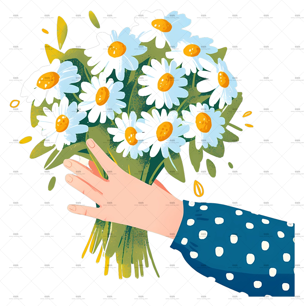 雏菊花束 – 手持一束雏菊PNG免抠图预览图