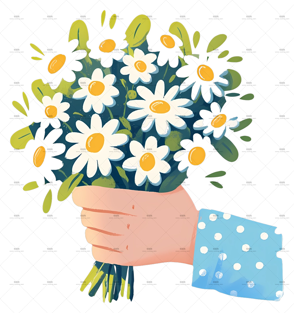 雏菊花束 – 迷人雏菊花束插画PNG免抠图预览图