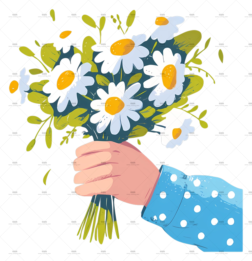 雏菊花束 – 手持雏菊花束PNG免抠图预览图