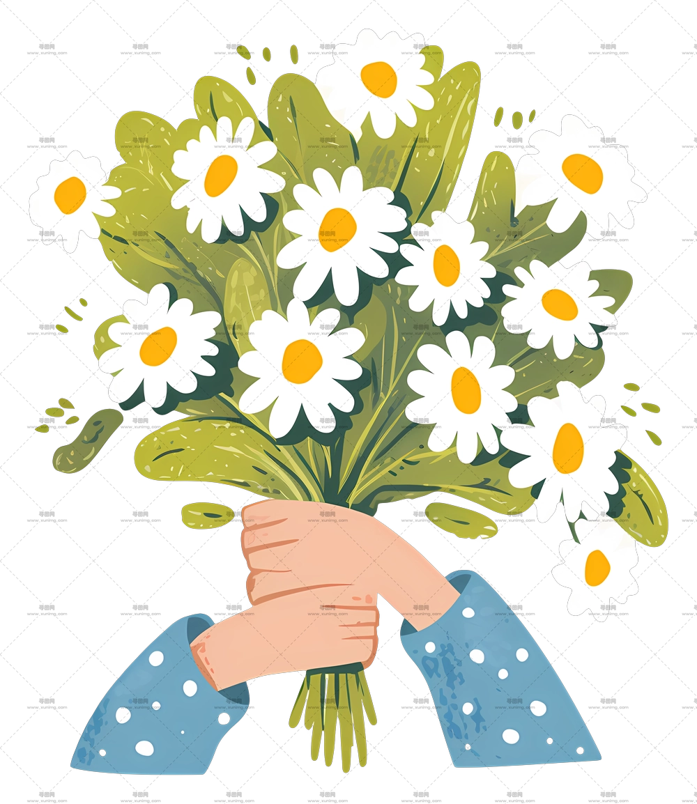 雏菊花束 – 手持插画雏菊花束PNG免抠图预览图
