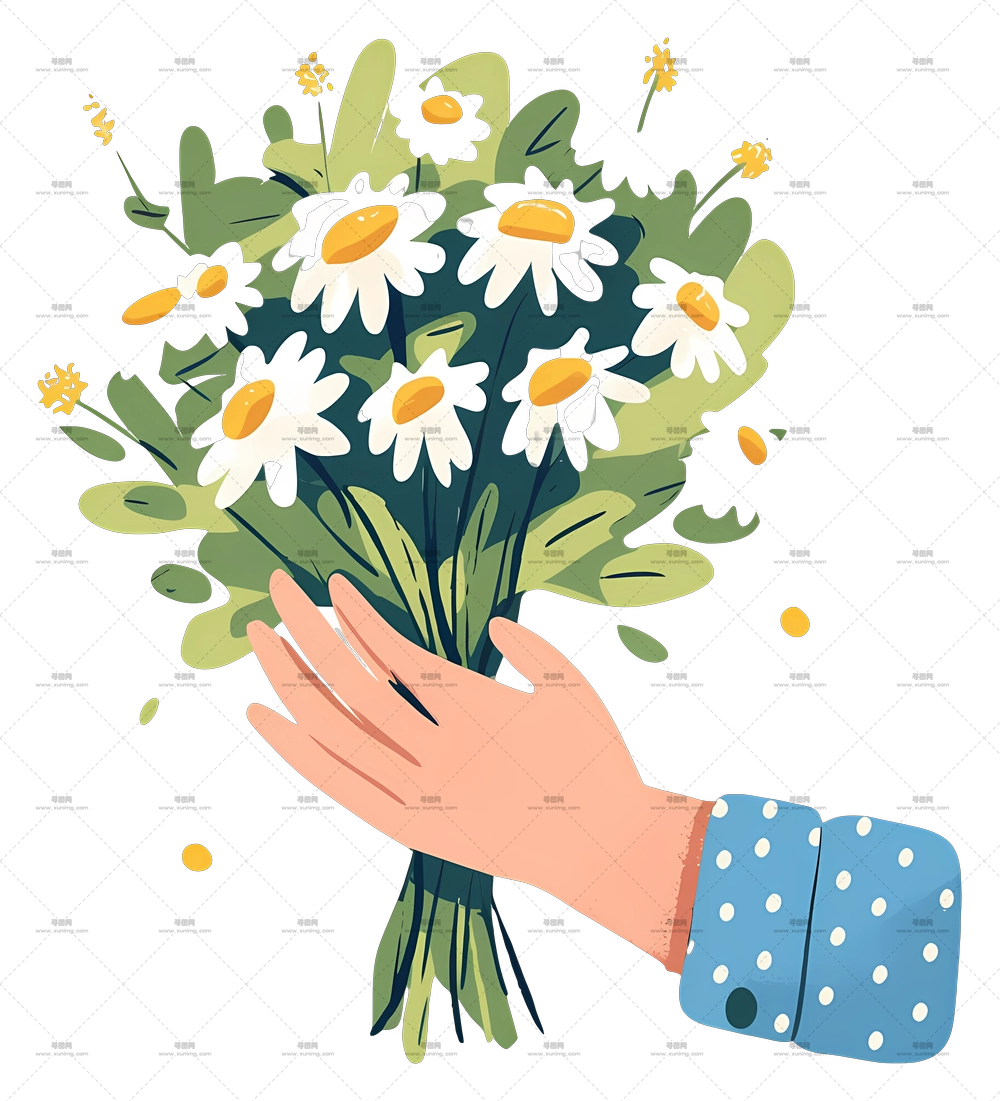 雏菊花束 – 手持一束雏菊PNG免抠图预览图 雏菊花束 – 手持一束雏菊PNG免抠图预览图