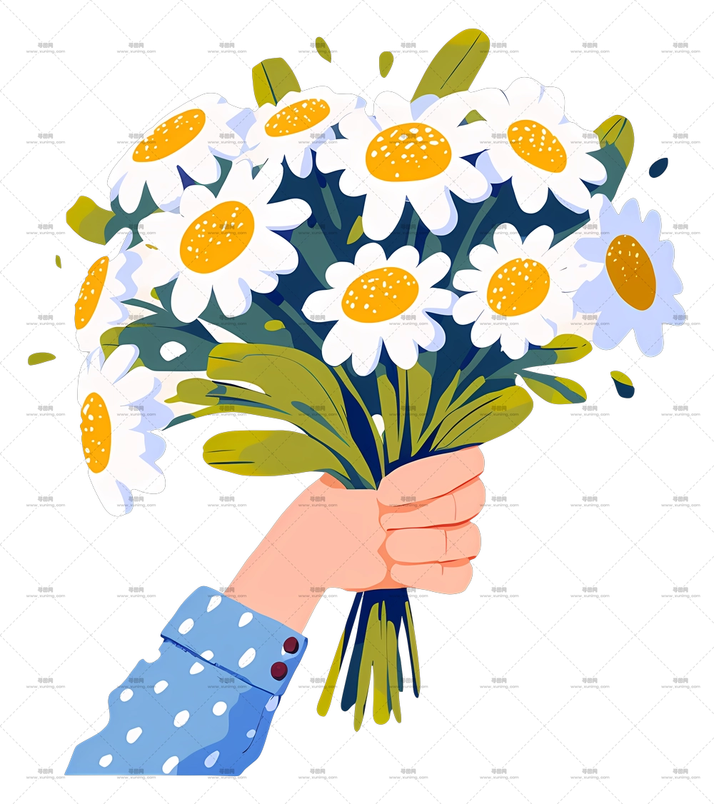 雏菊花束 – 手持一束雏菊PNG免抠图预览图
