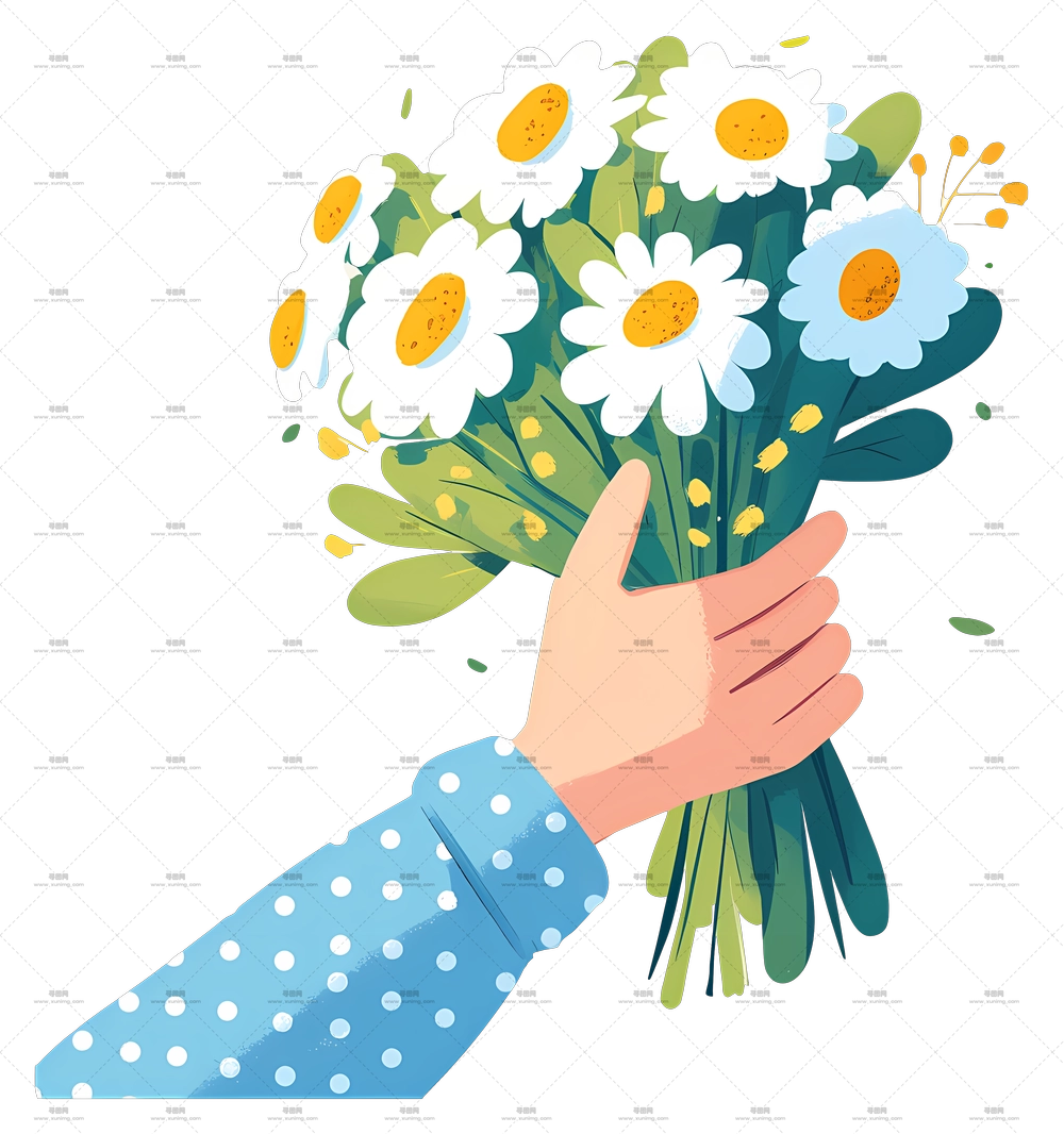 雏菊花束 – 手中的雏菊花束PNG免抠图预览图