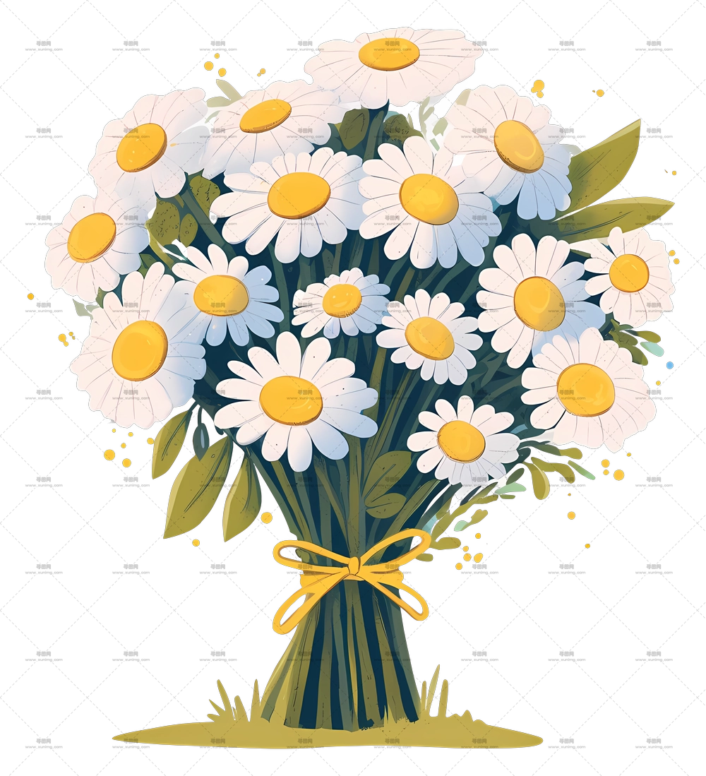 Daisy Bouquet – 白 Daisy 花束PNG免抠图预览图