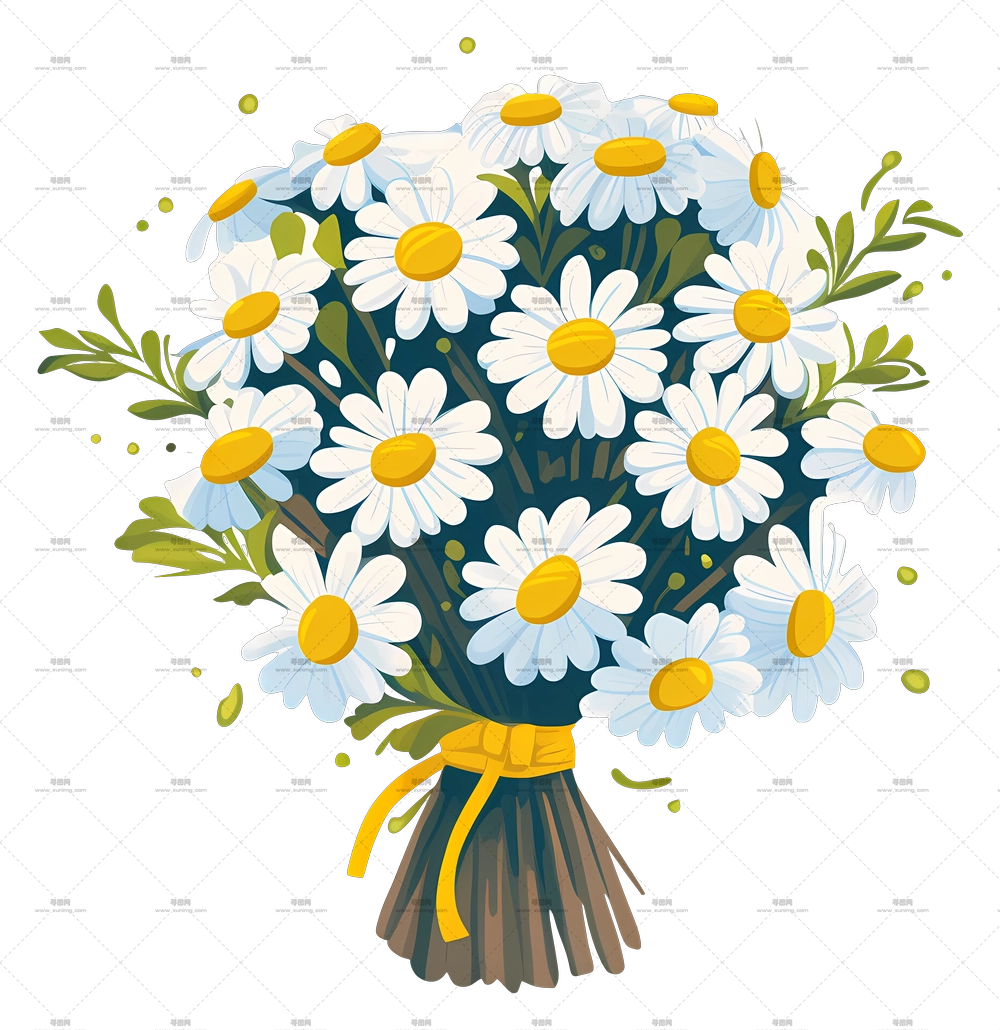 雏菊花束 – 新鲜雏菊花束PNG免抠图预览图