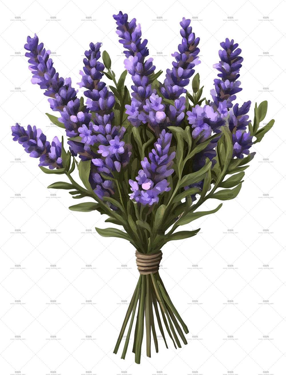 薰衣草花束 – 可爱的薰衣草花束插画PNG免抠图预览图