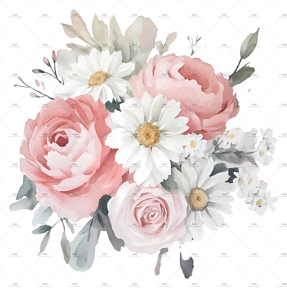 粉色花束 – 水彩粉色玫瑰和白色雏菊花卉艺术PNG免抠图预览图