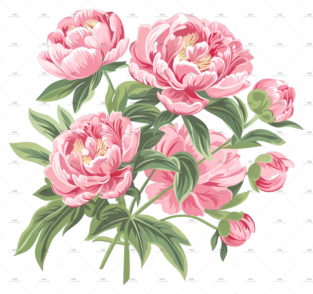 牡丹花束 – 美丽红牡丹花束PNG免抠图预览图