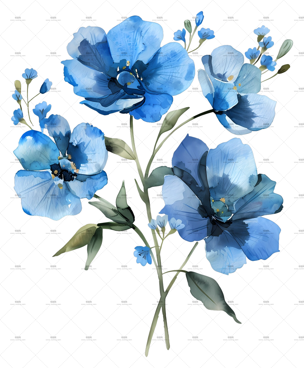 蓝色花束 – 蓝色花枝插画PNG免抠图预览图