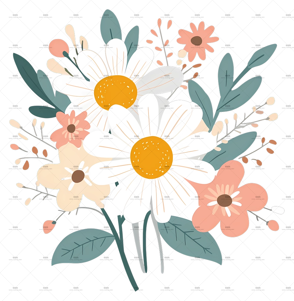 雏菊花束 – 美丽花卉花束插画PNG免抠图预览图