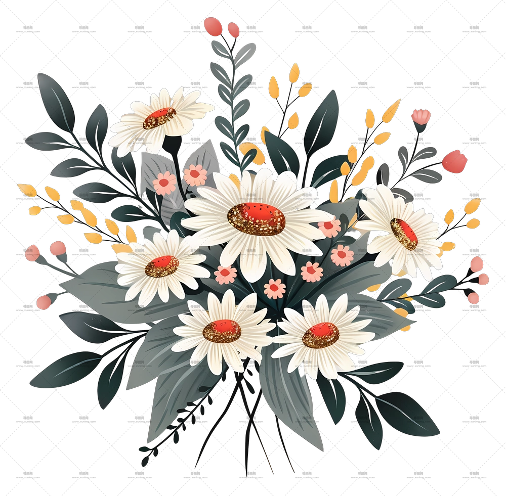 雏菊花束 – 美丽的雏菊花束插画PNG免抠图预览图