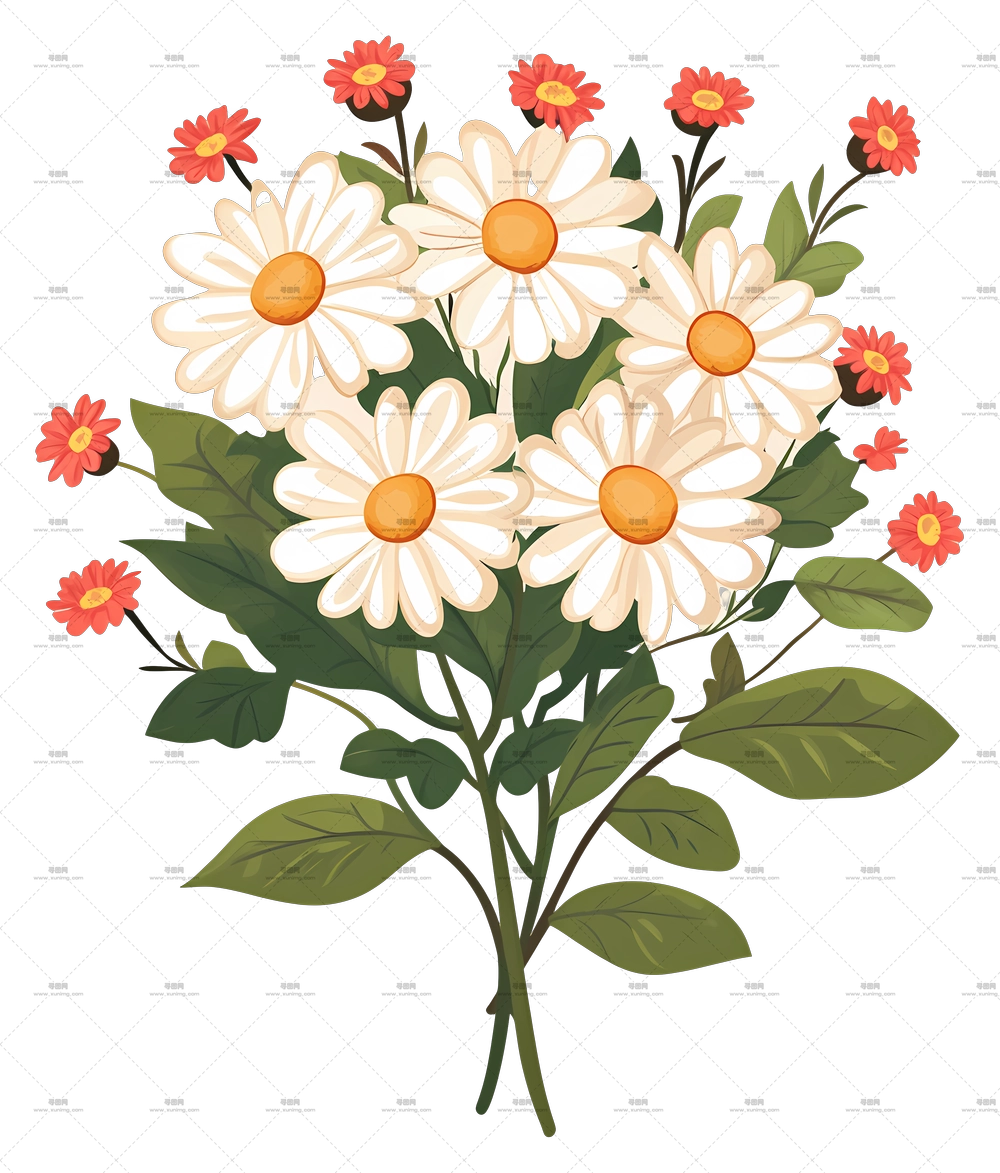 雏菊花束 – 雏菊花束插画PNG免抠图预览图
