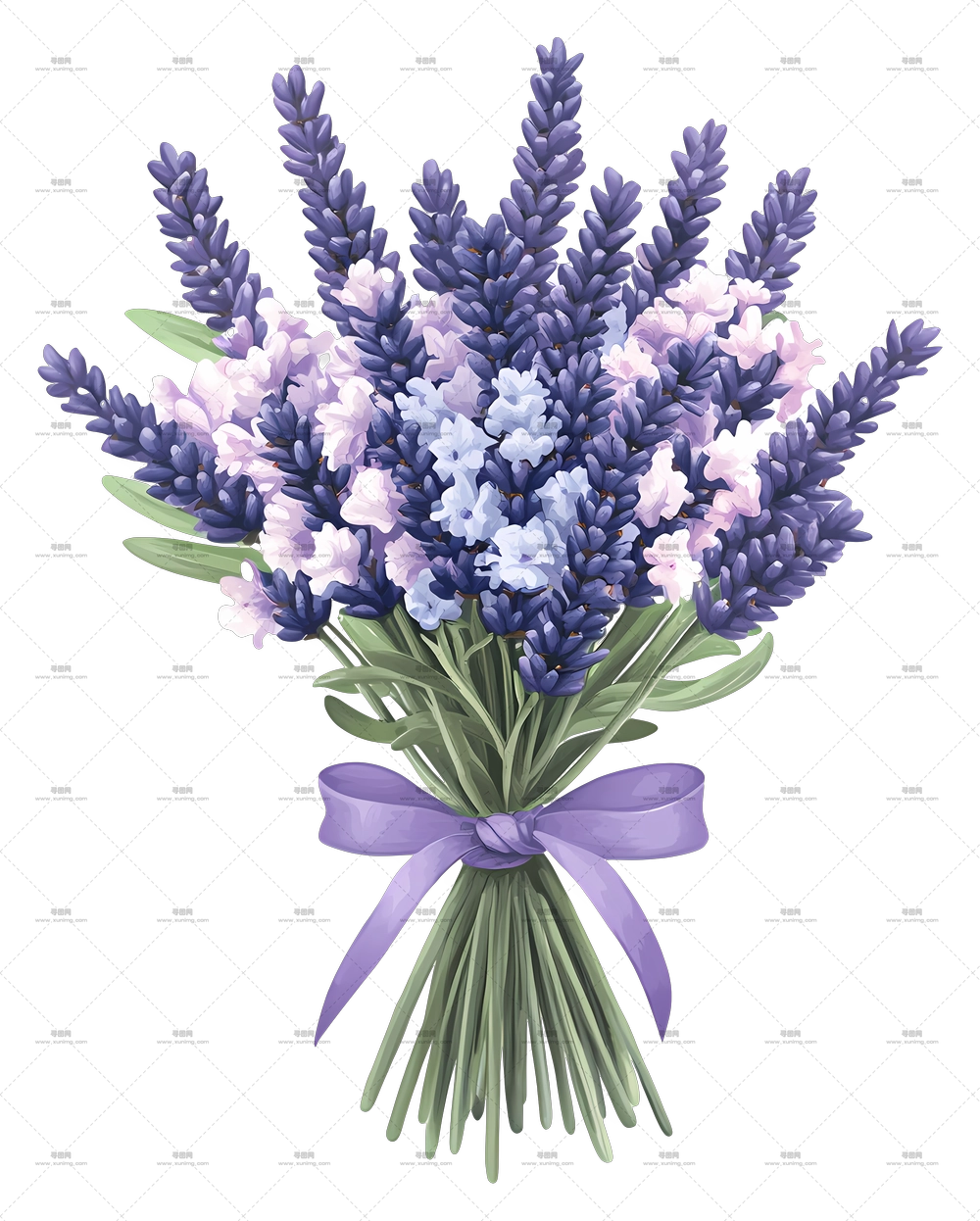 薰衣草花束 – 薰衣草花蕾花束插画PNG免抠图预览图 薰衣草花束 – 薰衣草花蕾花束插画PNG免抠图预览图