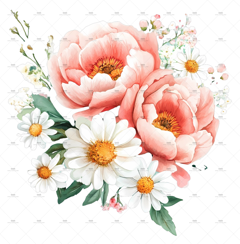 粉色花束 – 牡丹和雏菊花艺PNG免抠图预览图