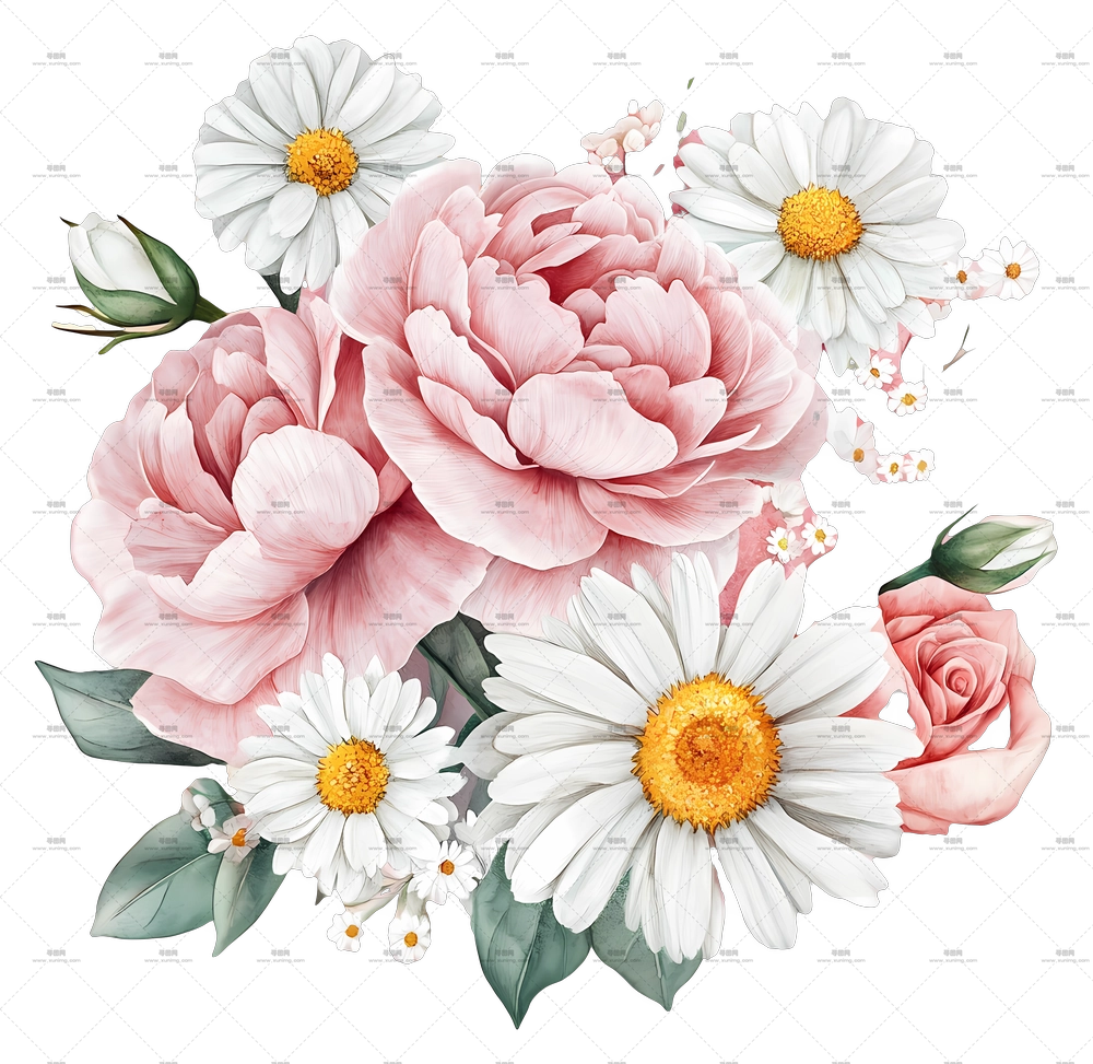 粉色花束 – 粉色牡丹和白色雏菊花束PNG免抠图预览图 粉色花束 – 粉色牡丹和白色雏菊花束PNG免抠图预览图