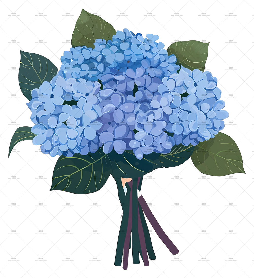 绣球花束 – 蓝色绣球花束PNG免抠图预览图