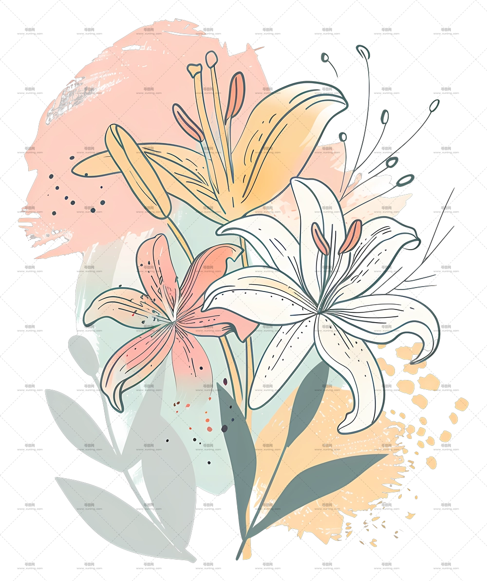 百合花束 – 美丽绽放的花朵插画PNG免抠图预览图 百合花束 – 美丽绽放的花朵插画PNG免抠图预览图