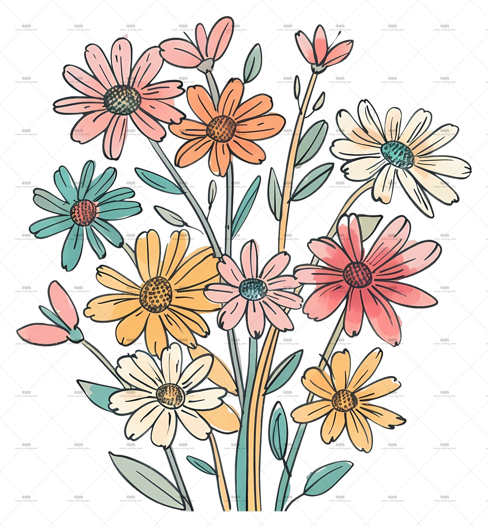 雏菊花束 – 多彩花朵花束插画PNG免抠图预览图