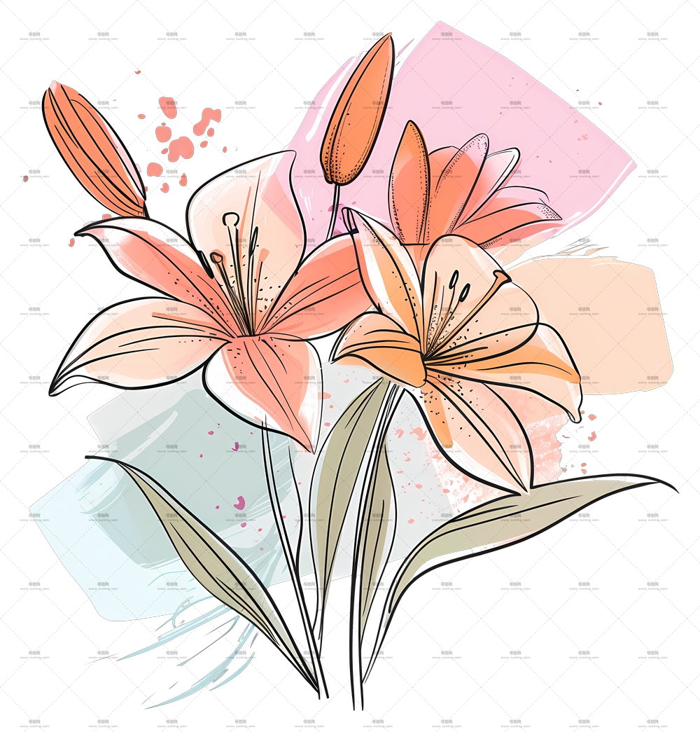 百合花束 – 淡色调艺术百合PNG免抠图预览图