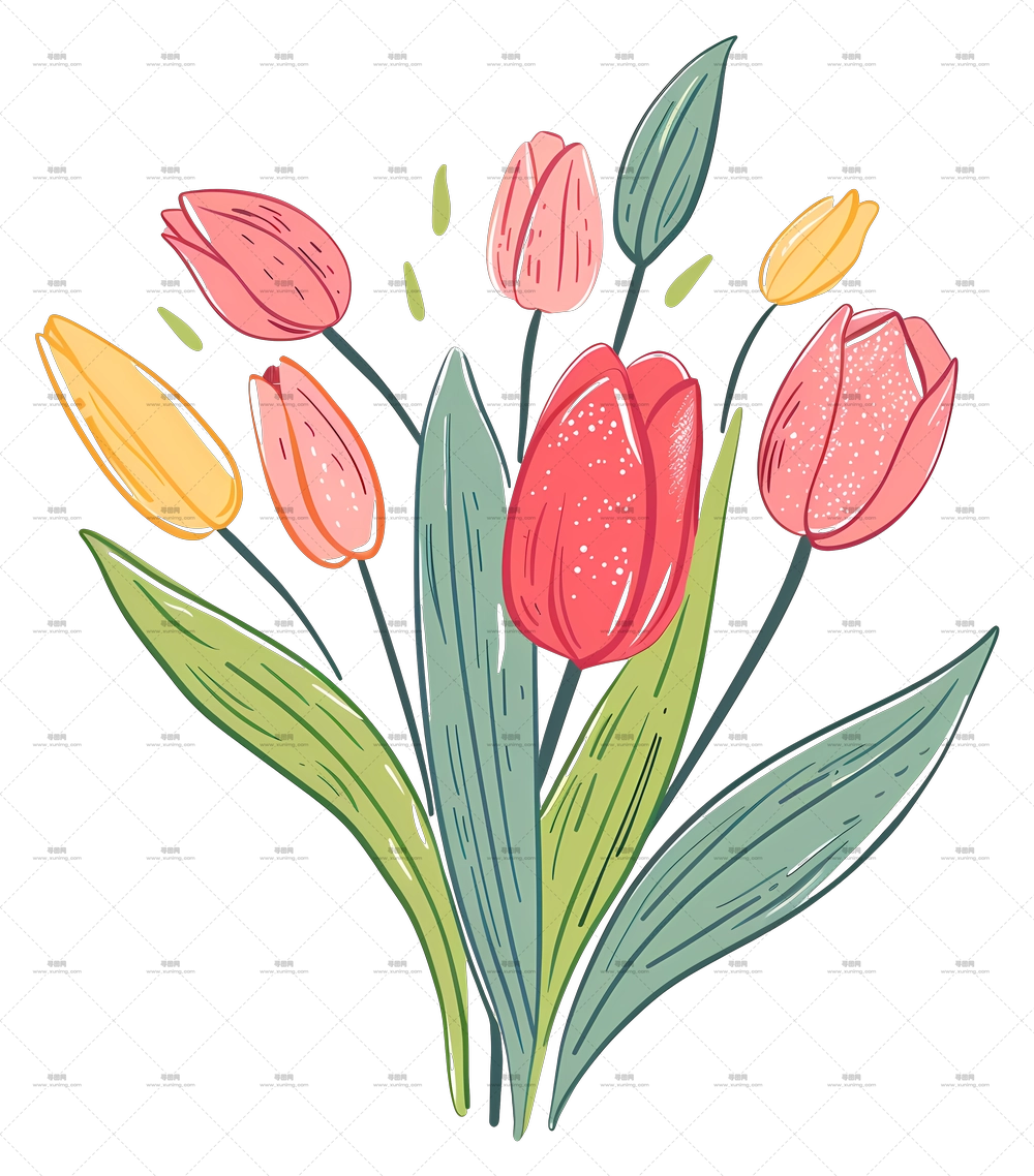 郁金香花束 – 艺术风格多彩郁金香花束PNG免抠图预览图