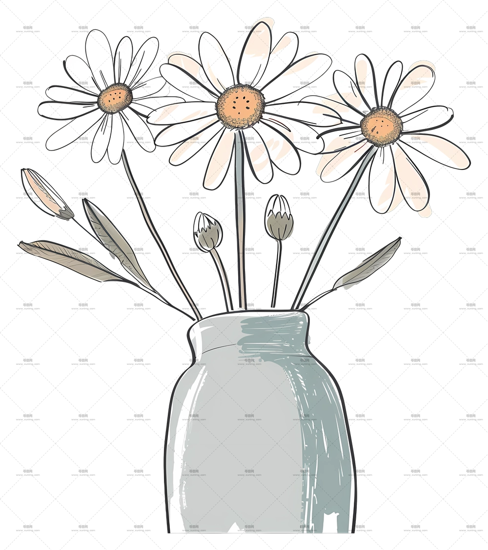 雏菊花束 – 装在花瓶里的卡通雏菊插画PNG免抠图预览图