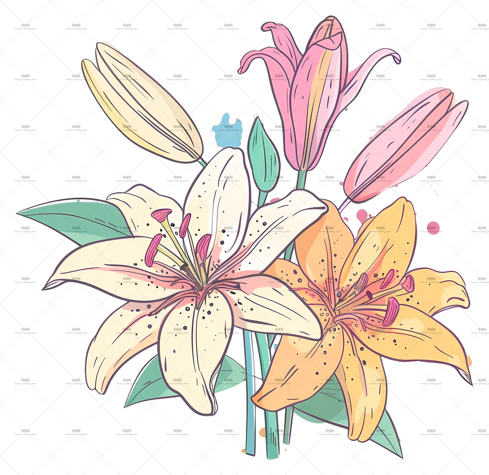 百合花束 – 多彩百合花插画PNG免抠图预览图