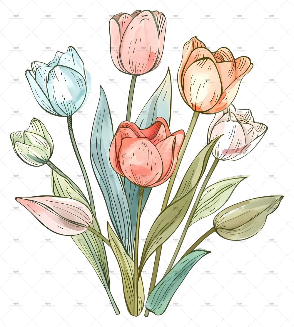 郁金香花束 – 精致的郁金香花束插画PNG免抠图预览图 郁金香花束 – 精致的郁金香花束插画PNG免抠图预览图