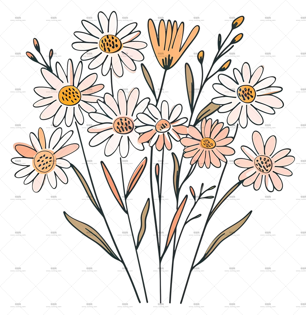 雏菊花束 – 可爱的手绘雏菊插画PNG免抠图预览图 雏菊花束 – 可爱的手绘雏菊插画PNG免抠图预览图