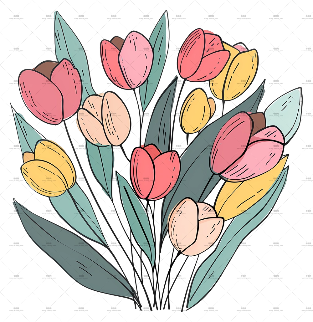 郁金香花束 – 手绘彩色郁金香插画PNG免抠图预览图