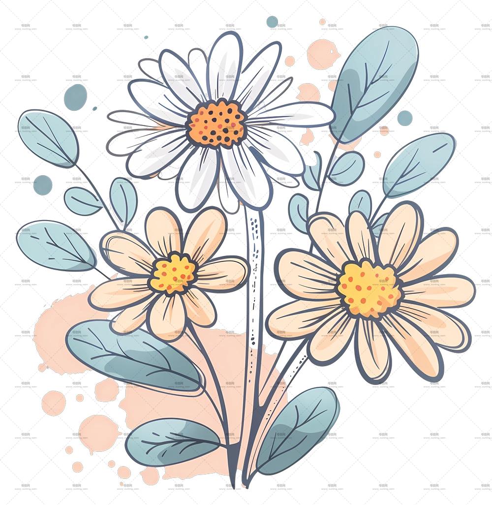 雏菊花束 – 盛开的精致雏菊插画PNG免抠图预览图