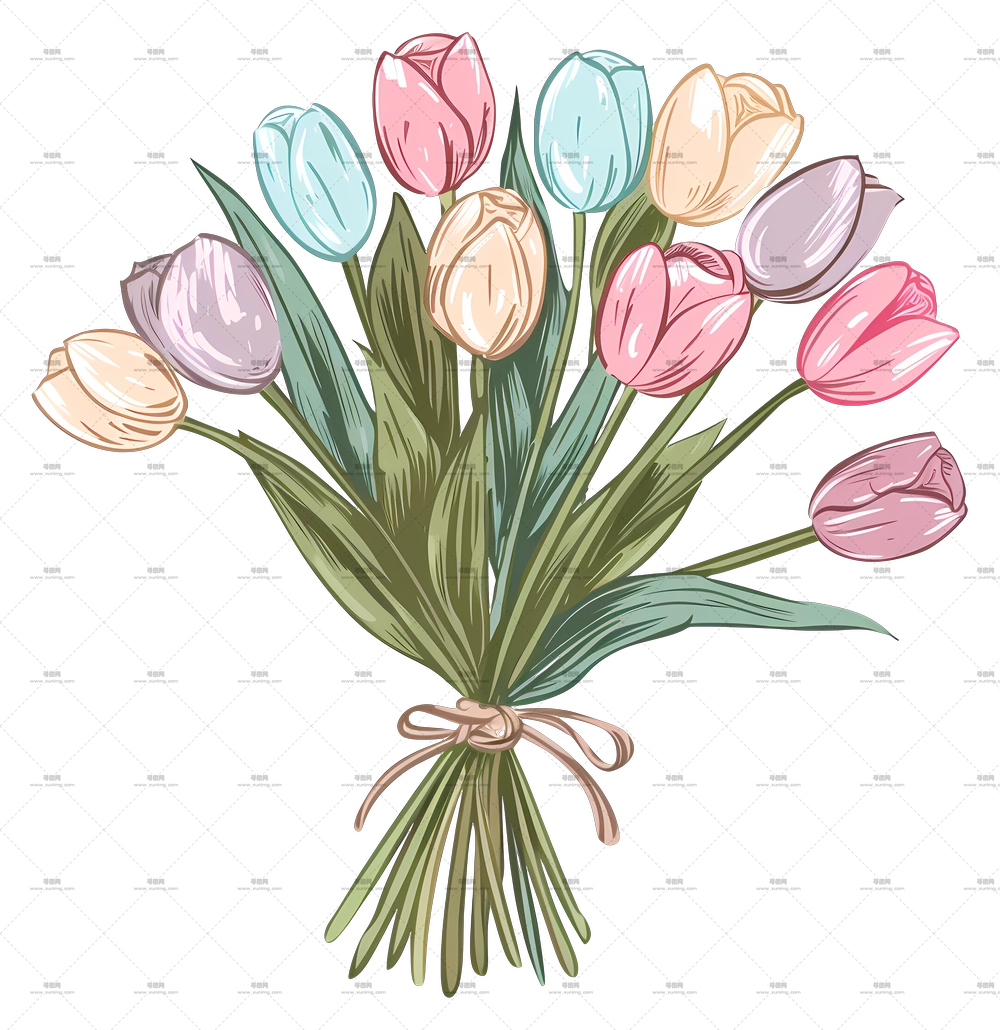 郁金香花束 – 多彩郁金香花束插画PNG免抠图预览图