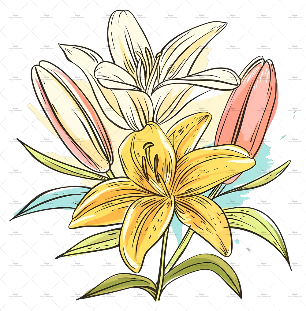 莉莉·布凯 – 美丽的黄色百合花PNG免抠图预览图