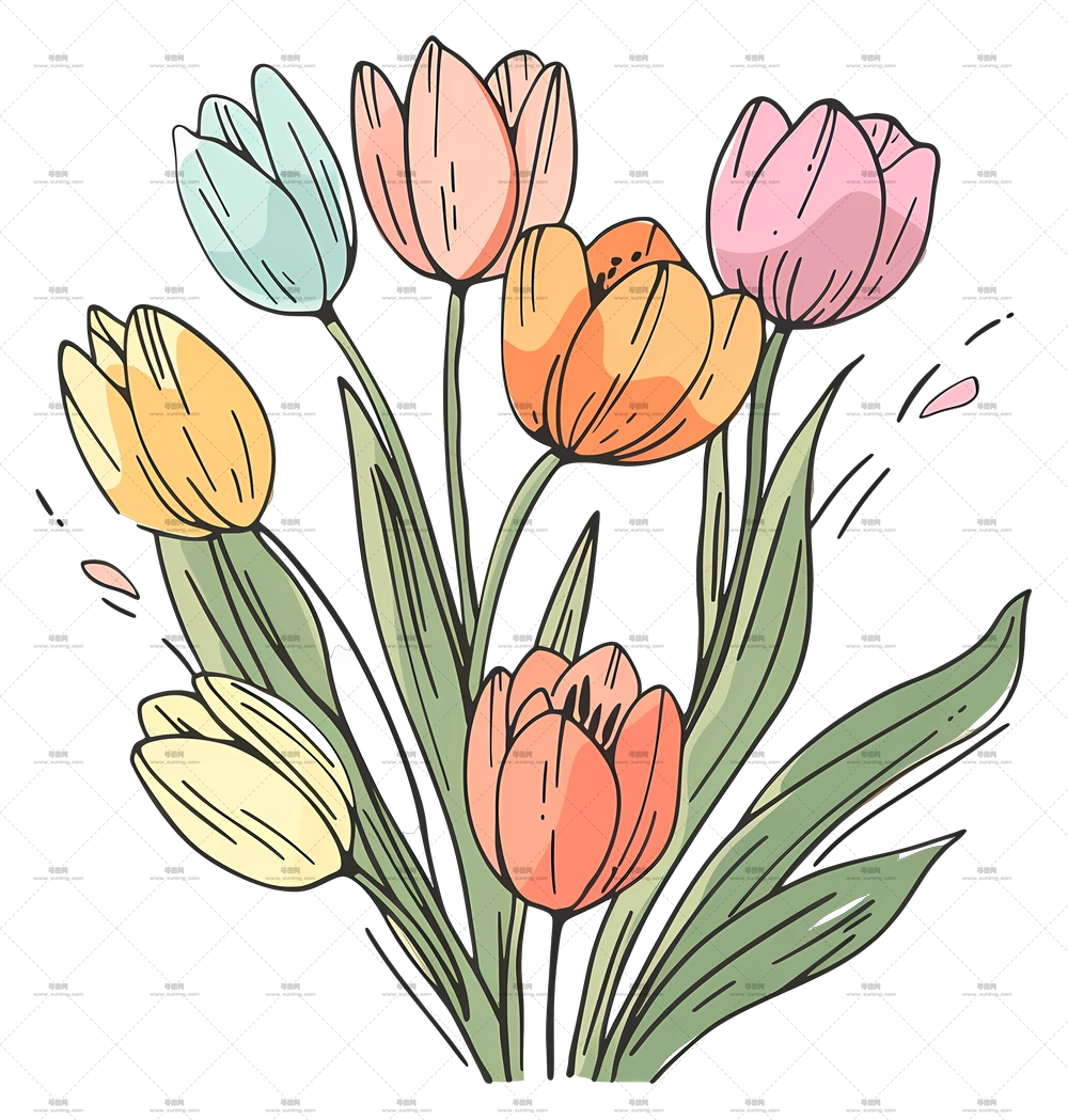 郁金香花束 – 春季多彩郁金香花PNG免抠图预览图