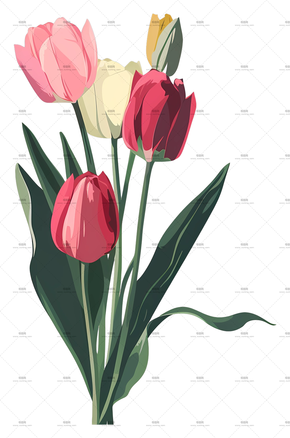 郁金香花束 – 美丽的郁金香花束PNG免抠图预览图 郁金香花束 – 美丽的郁金香花束PNG免抠图预览图