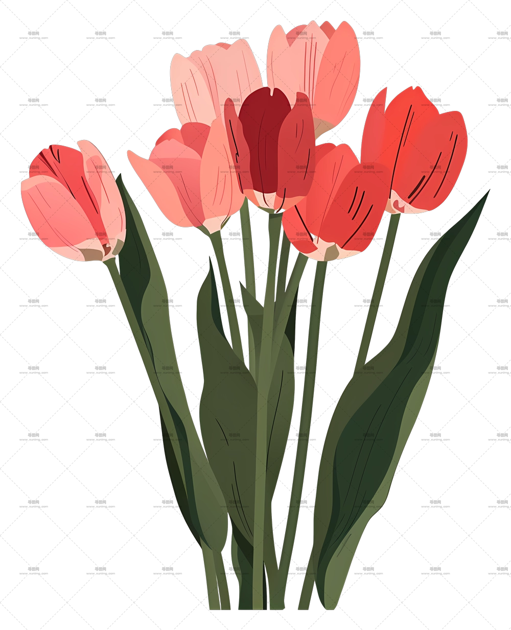 郁金香花束 – 花束中的粉色郁金香PNG免抠图预览图