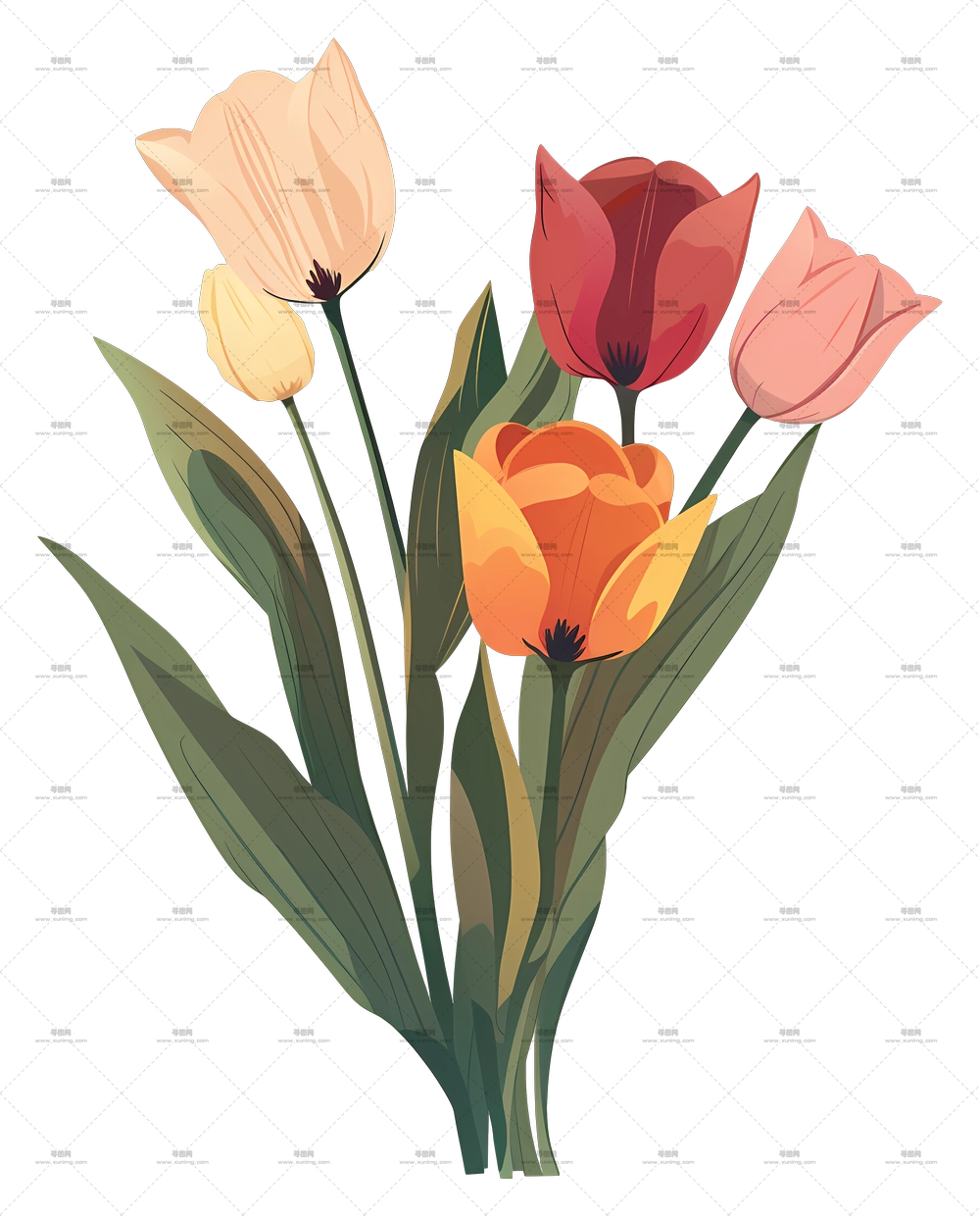 郁金香花束 – 带绿叶的多彩郁金香插画PNG免抠图预览图