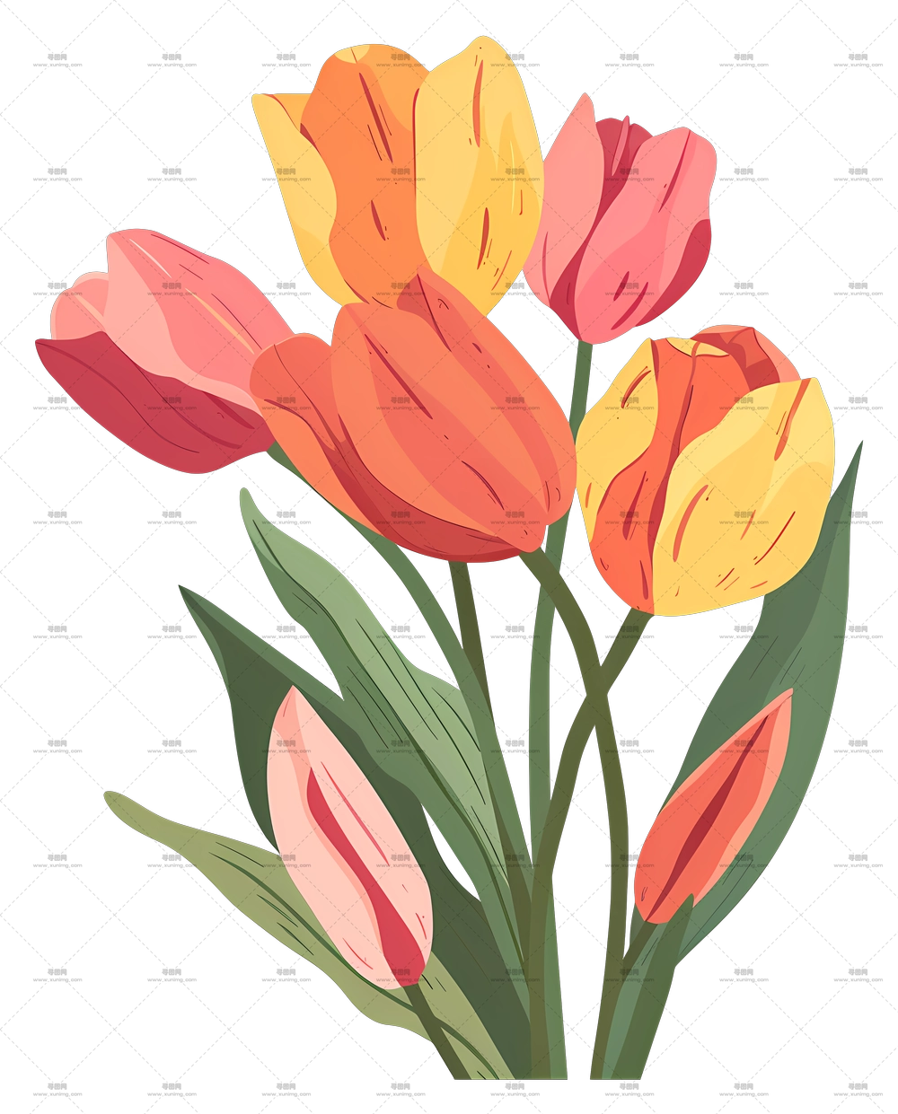 郁金香花束 – 多彩郁金香花束插画PNG免抠图预览图