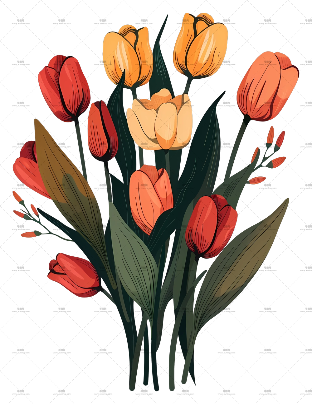 郁金香花束 – 红橙双色郁金香花束插画PNG免抠图预览图
