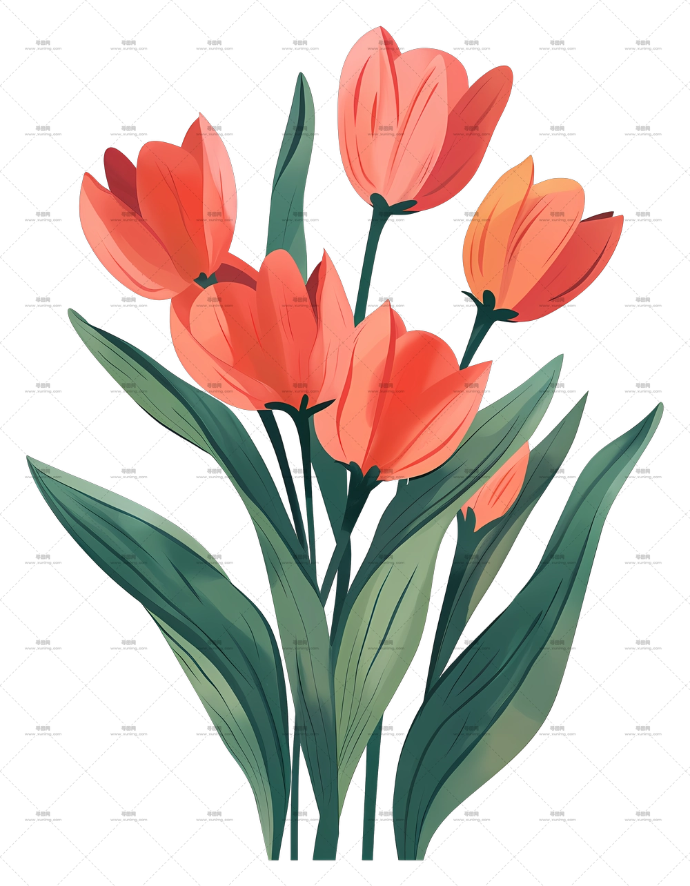 郁金香花束 – 红色郁金香花朵插画PNG免抠图预览图