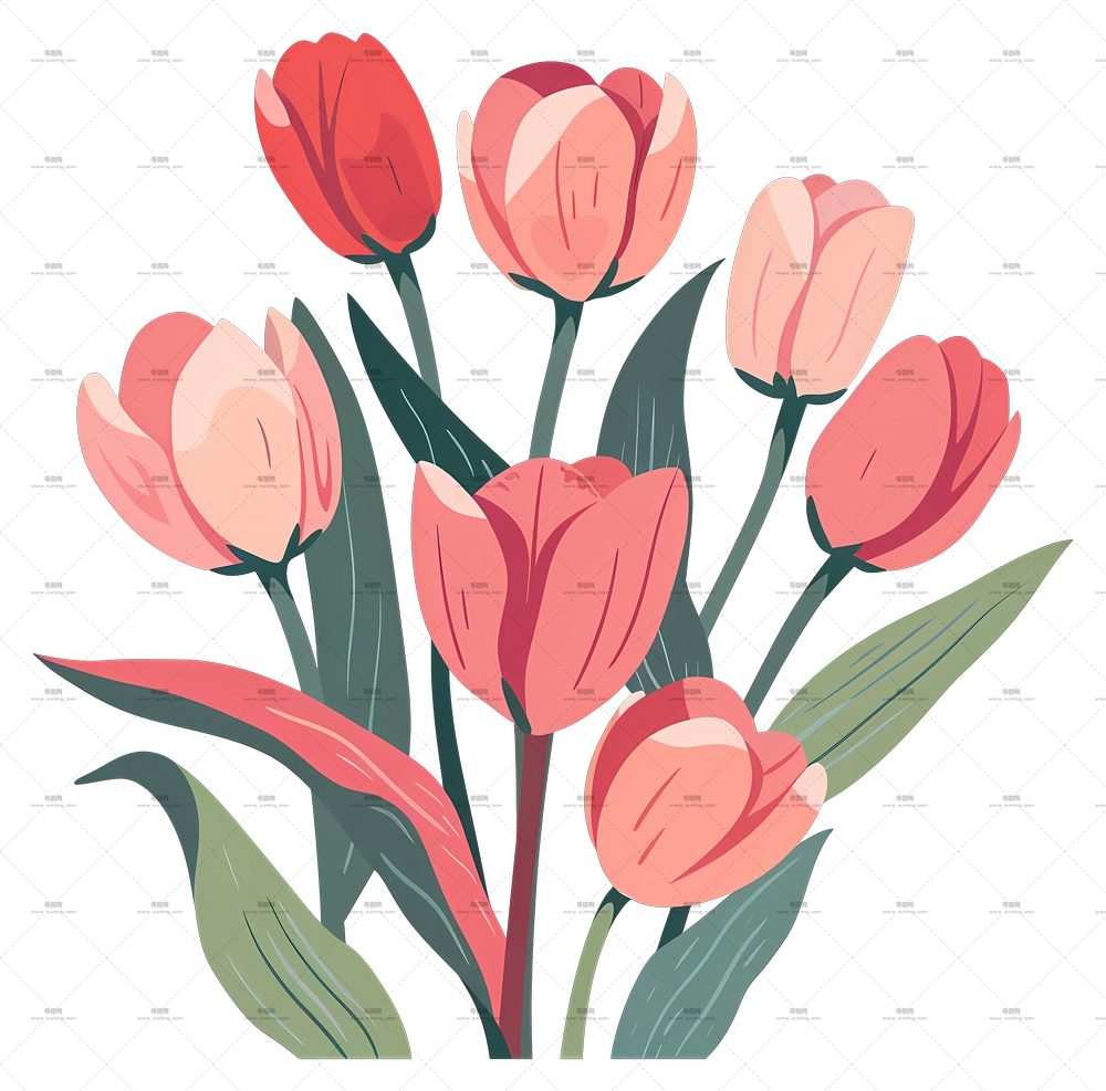 郁金香花束 – 盛开的粉色郁金香插画PNG免抠图预览图
