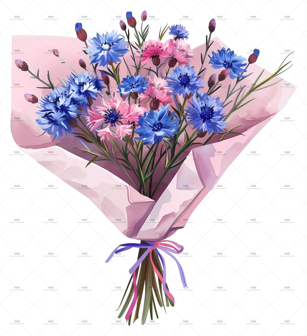 矢车菊花束 – 粉蓝相间的美丽花束PNG免抠图预览图