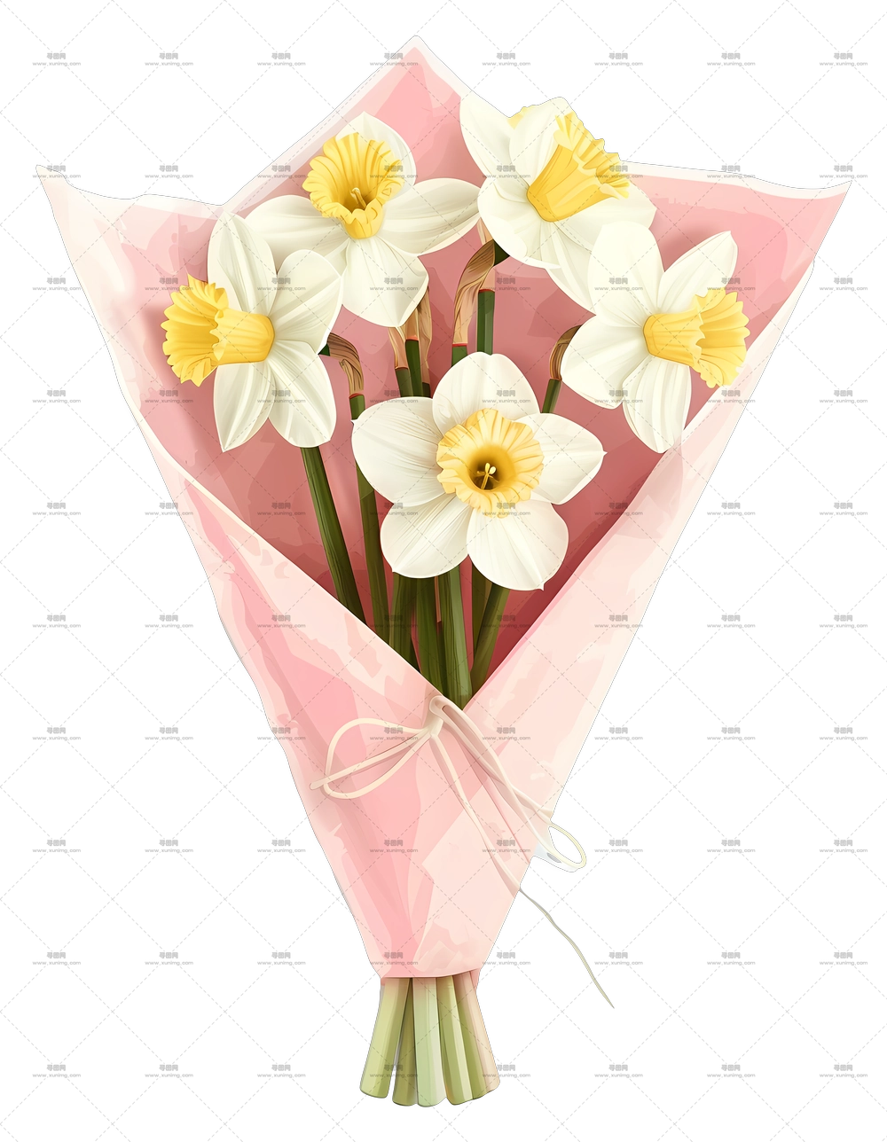 水仙花束 – 带有粉色包装的水仙花花束PNG免抠图预览图