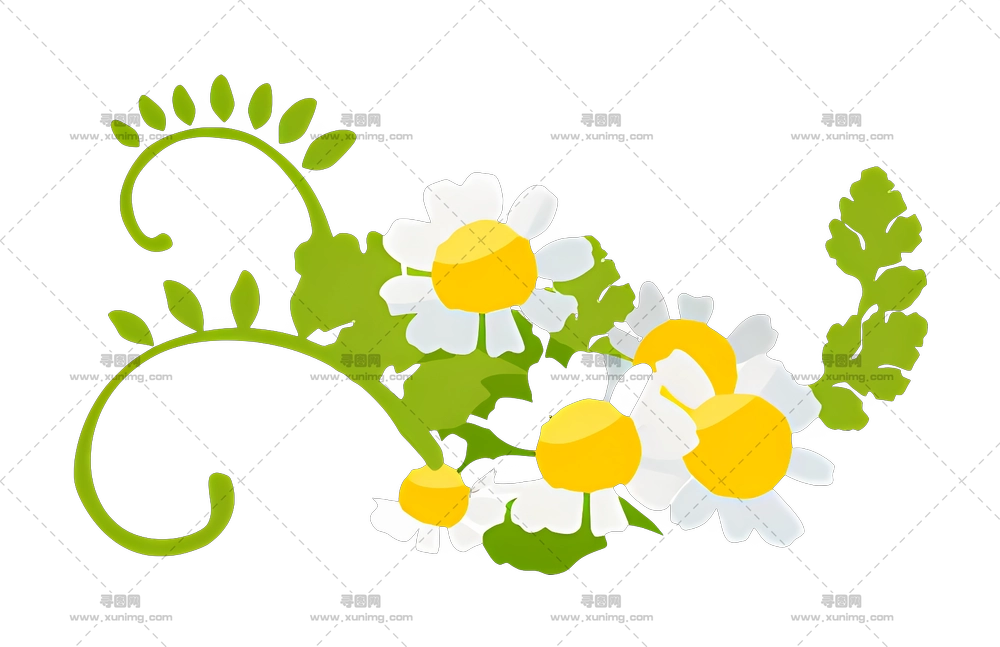 郁金香花束 – 精美的花卉布置，带有绿叶PNG免抠图预览图