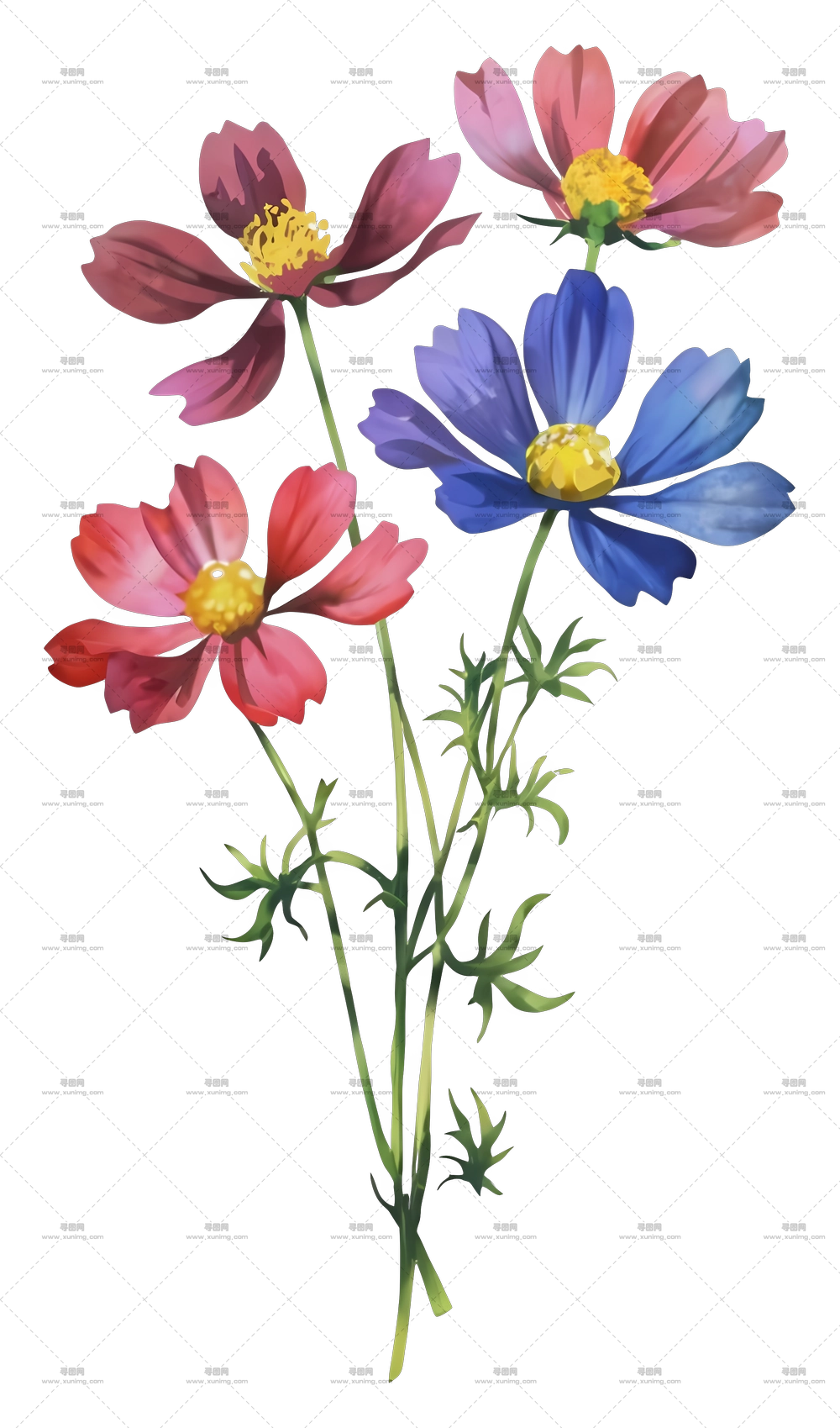 精美的彩色花卉水彩插画PNG免抠图预览图